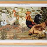 Poster “Roosters and Hens”, after an Art Nouveau lithograph from 1897
