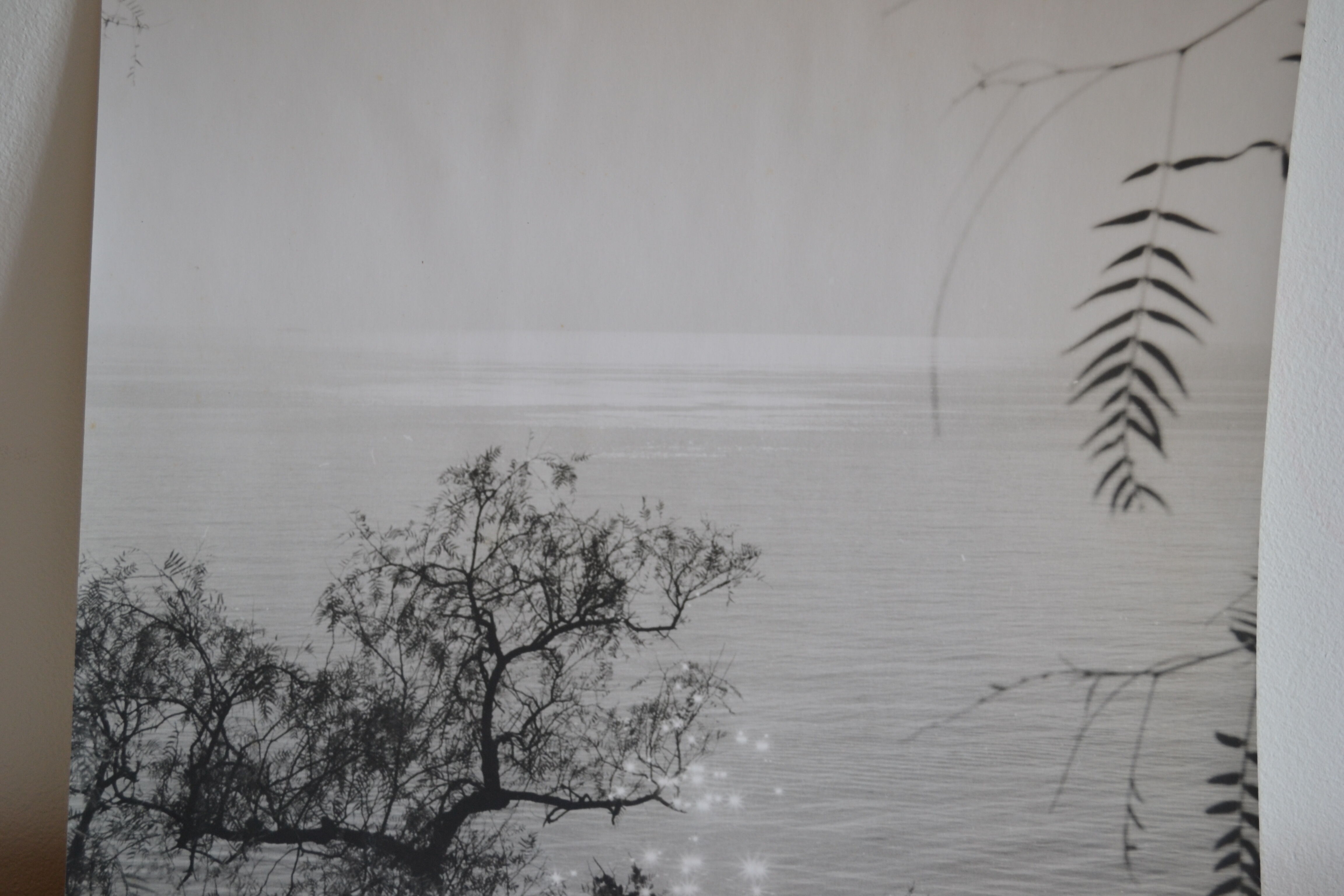 Anonymous silver photo sea circa 1970