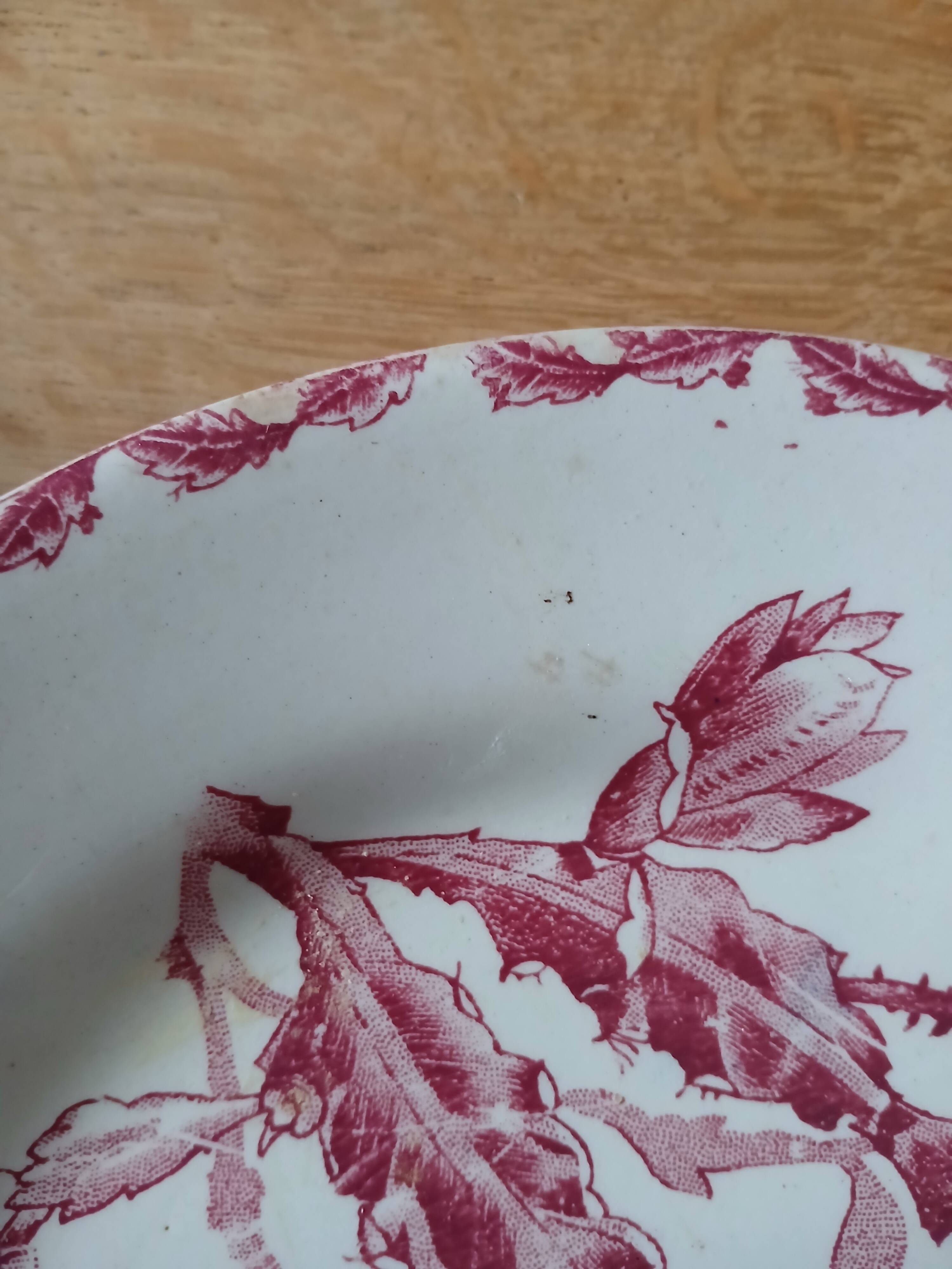 10 assiettes plates anciennes en Terre de fer