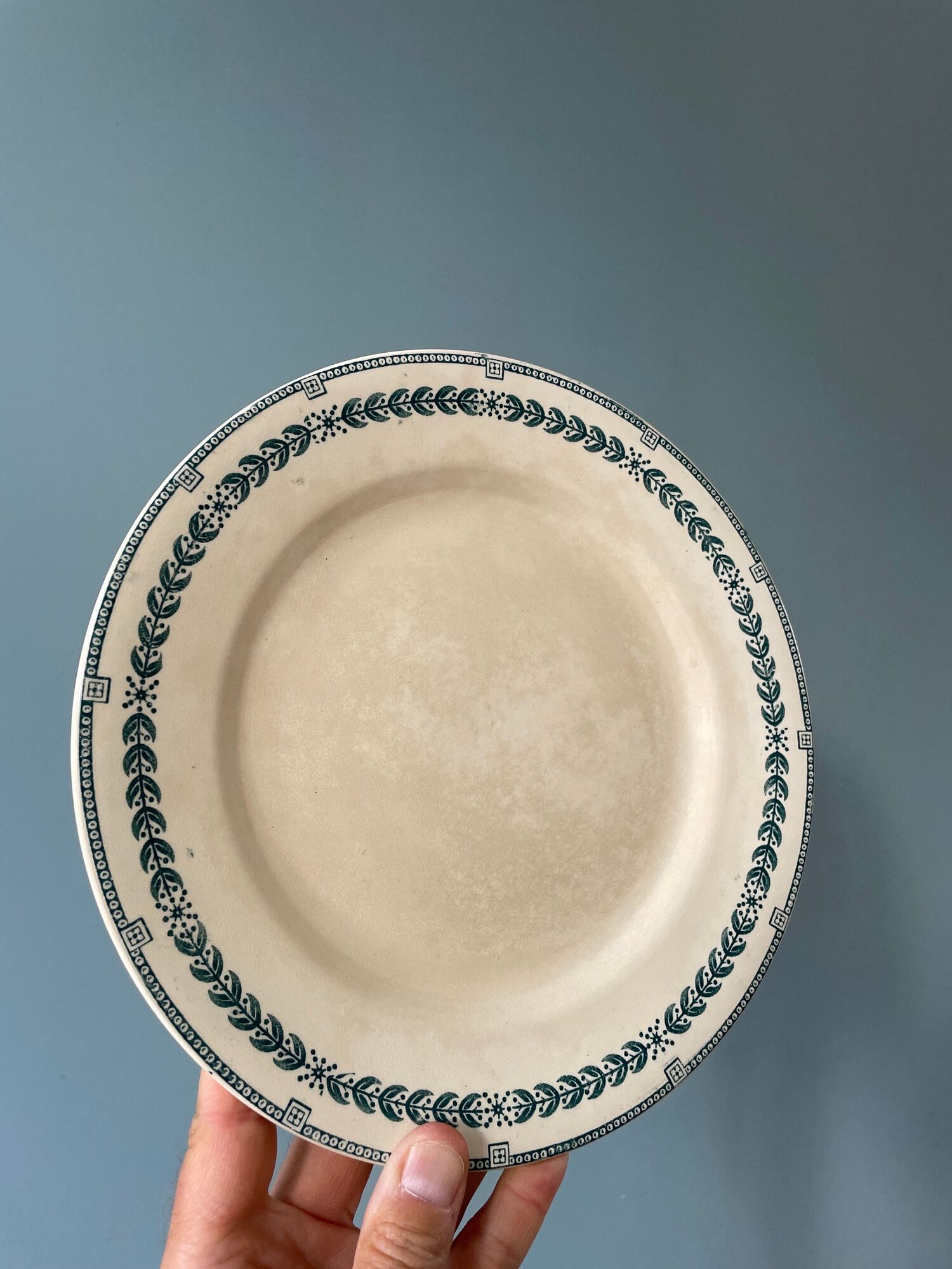 Set of 16 flat plates Terre de Fer, Service Condé Salins