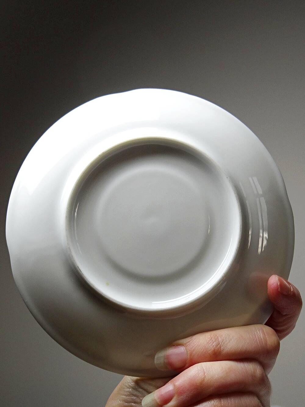 5 cups with two handles, Limoges porcelain Bernardaud "Palm"