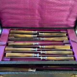Box of 20 table knives