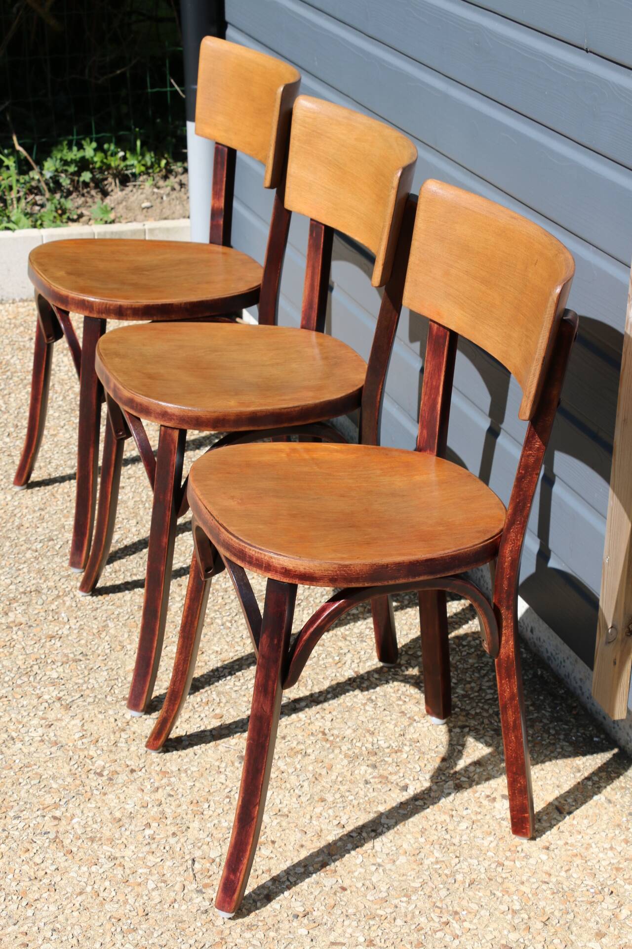 3 Baumann chairs with wide backs No. 30, dark beech