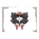 Original Rorschach test card "Card II" – imaginary curiosity