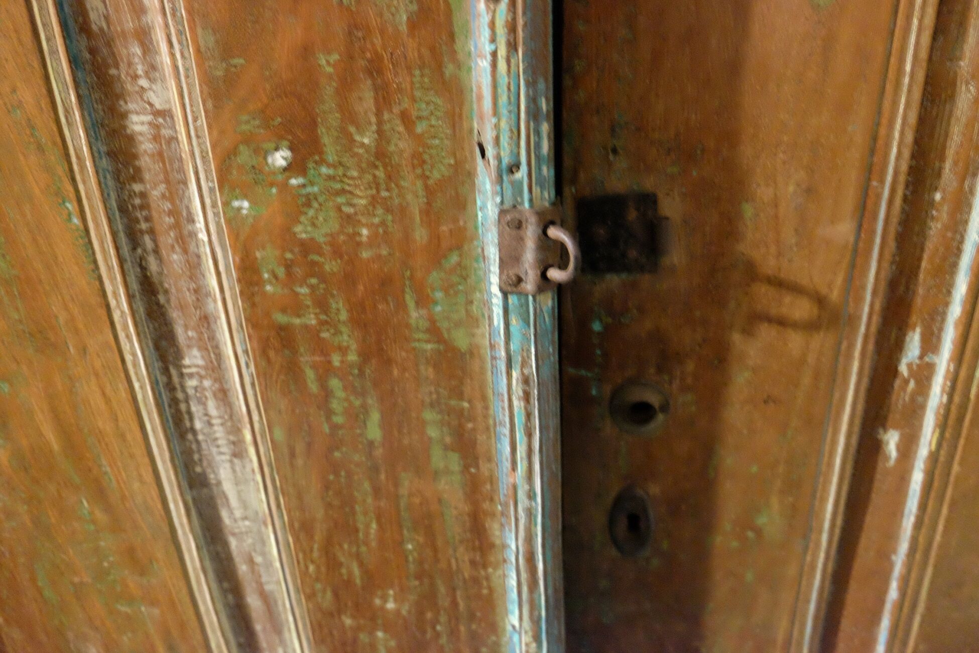 Antique pair of patinated teak doors, 1900
