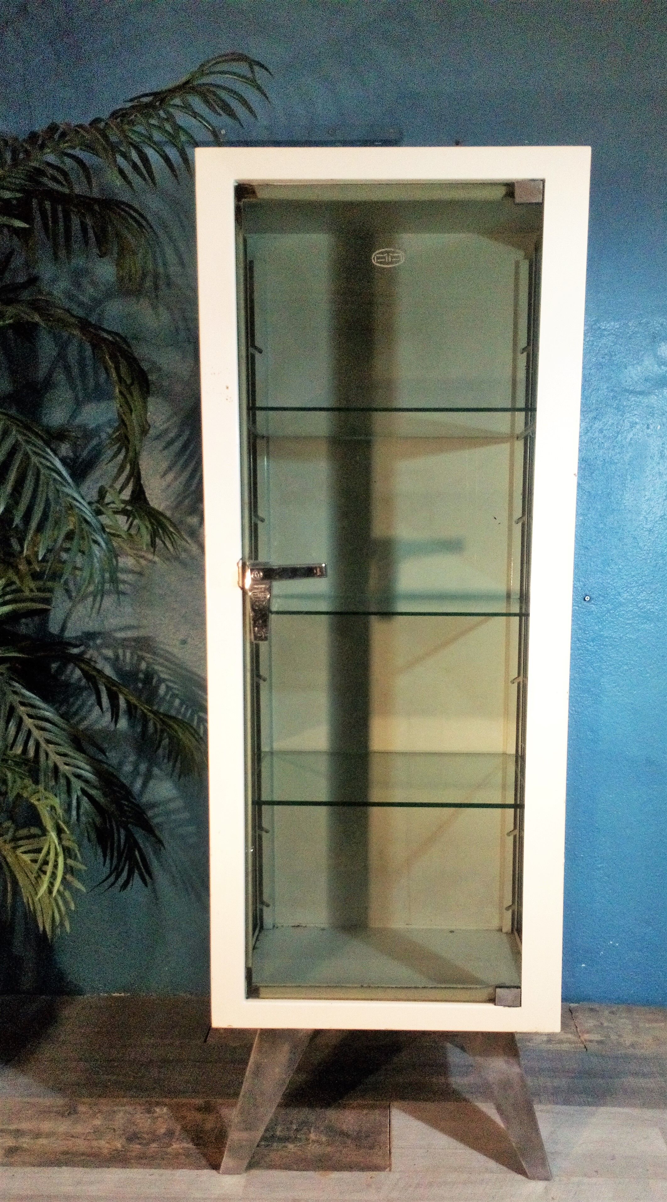 Vitrine médicale 1950s