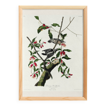 Poster about the Pic mineur, based on an old engraving from 1827.