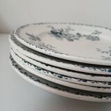 Set of 6 Terre de Fer plates, Acacia model