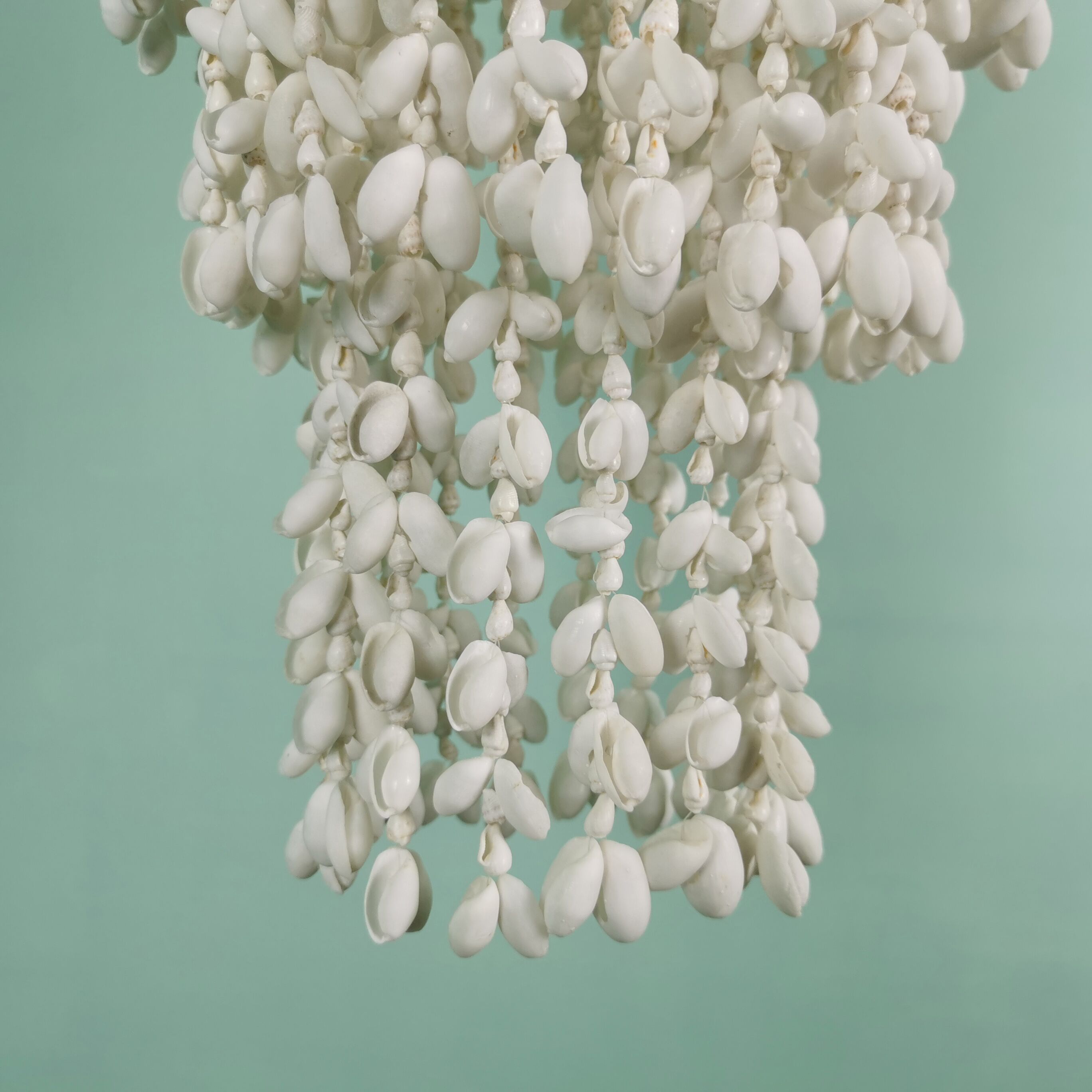 Seashell suspension