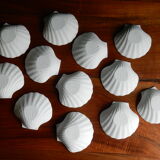 12 scallop shells porcelain biscuit