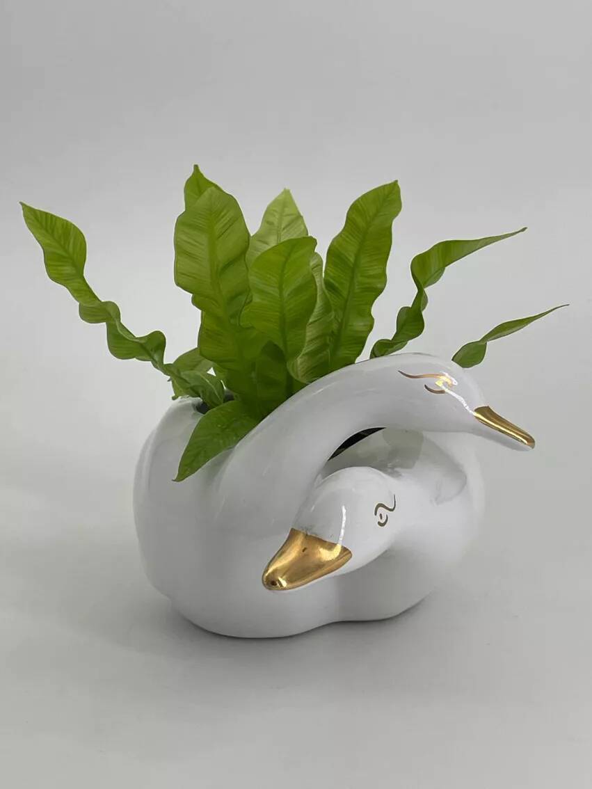 Vintage white and gold porcelain two swan planter