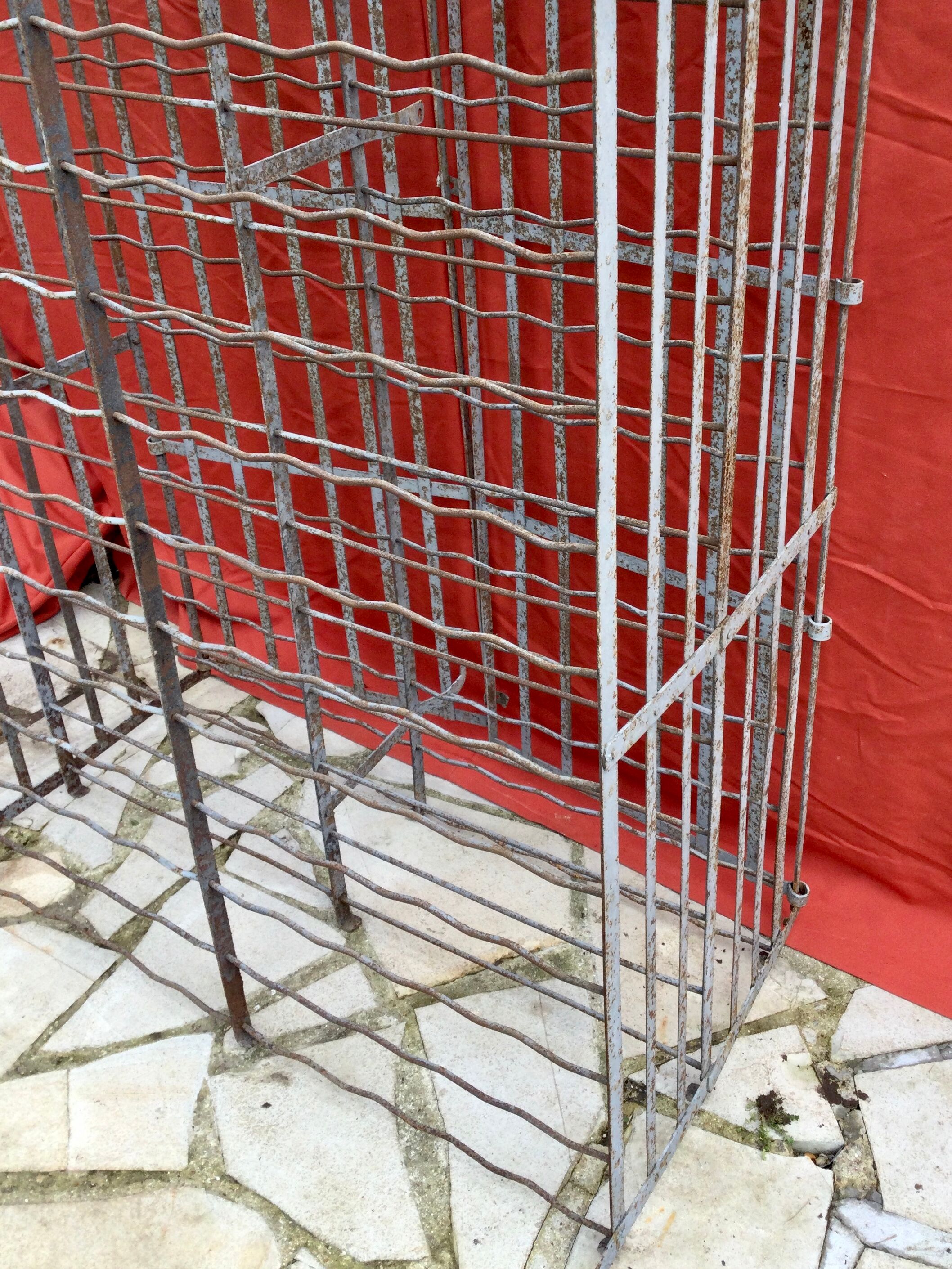 Wine cellar 300 bottles