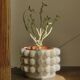 Pot à plantes