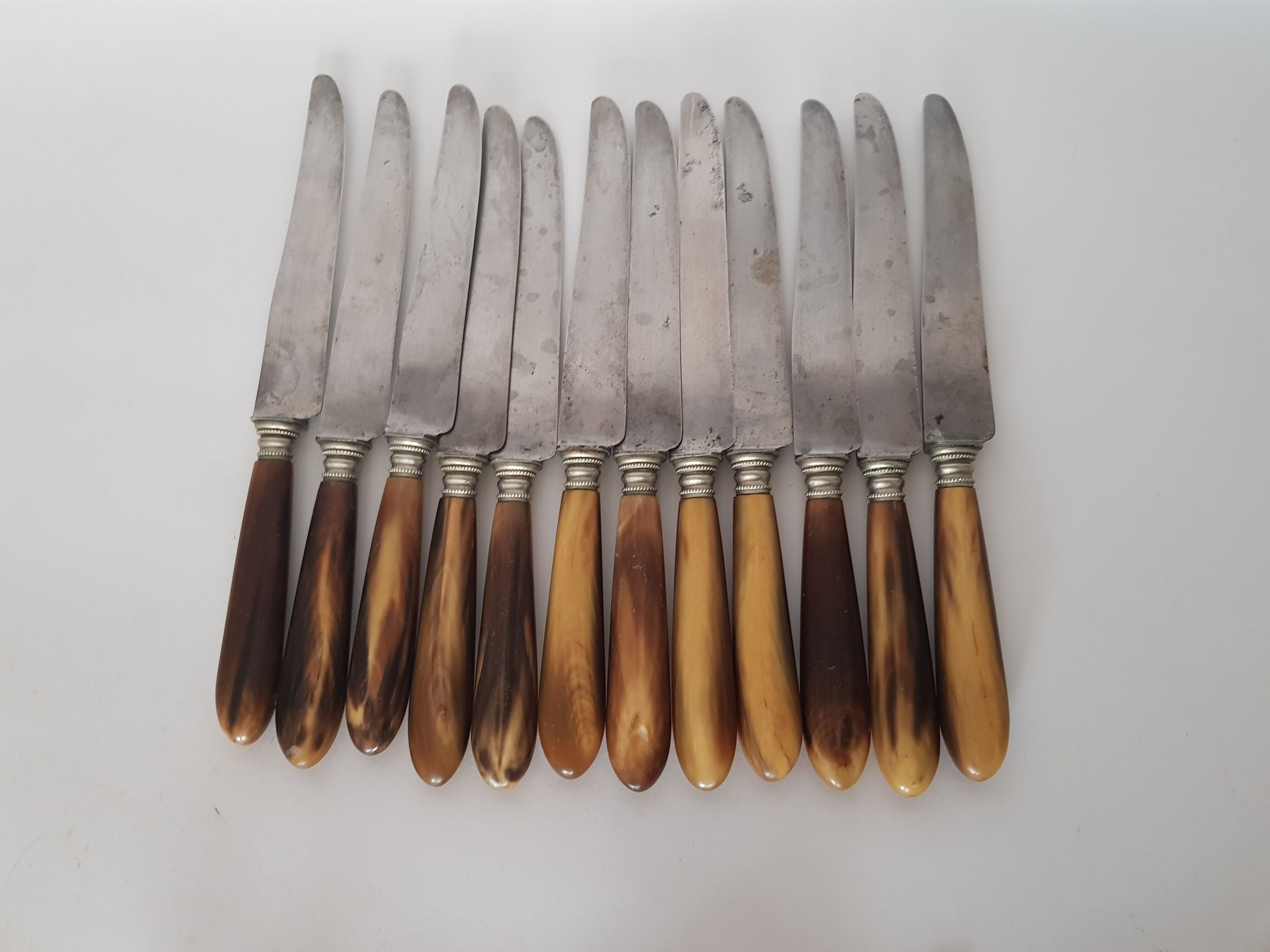 Twelve knives, horn handle, steel blade signed Philip CADET Marseille