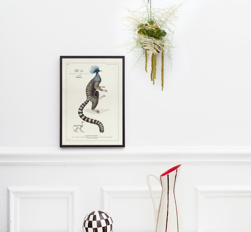 Chimera lithograph engraving animal - the marmoset