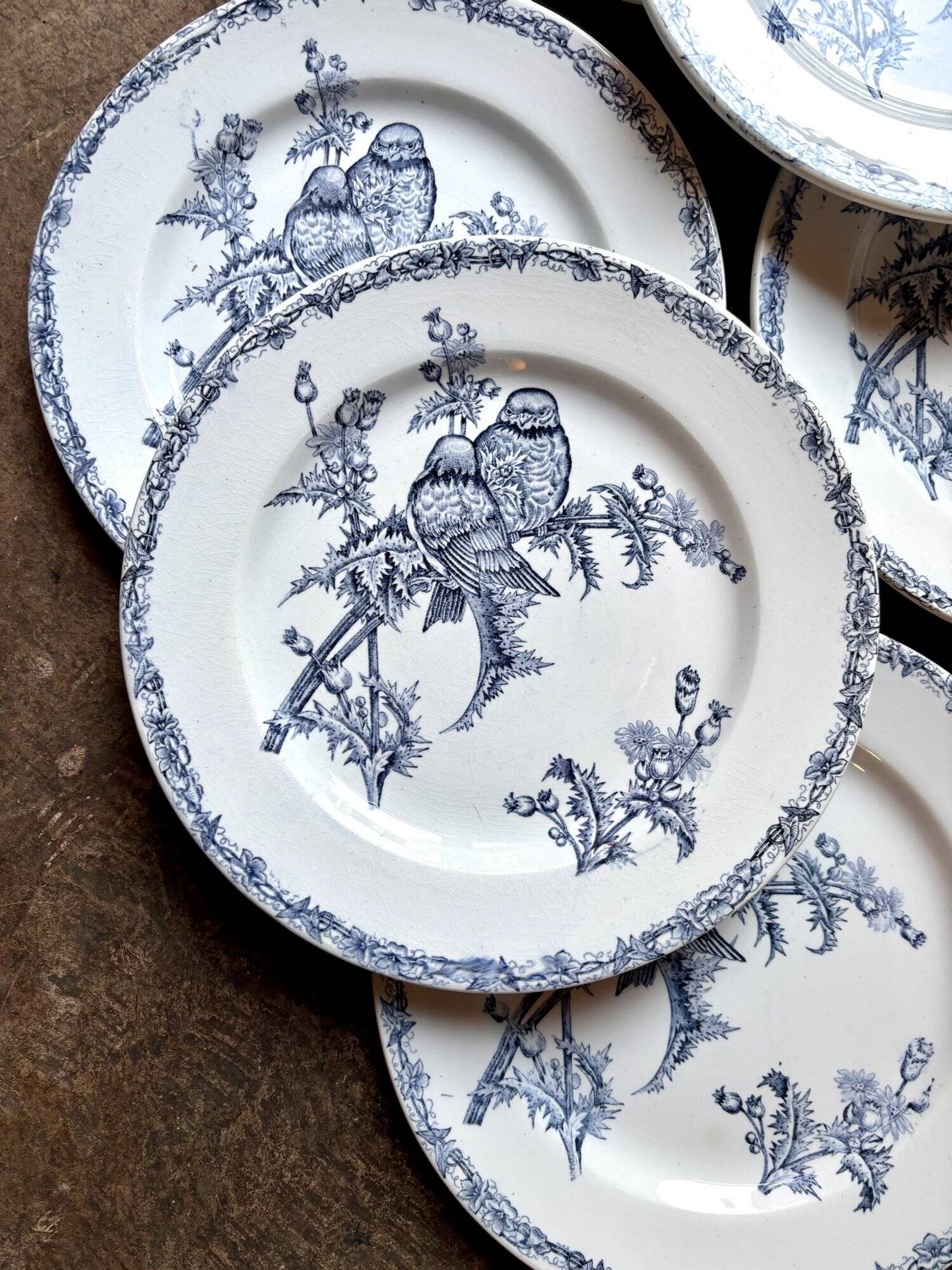 6 flat plates Clairefontaine - Léon Graves in ironstone, "Chardonnerets" service from the late 19th century.