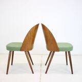 1960s Antonin Suman Set of Two Dining Chairs, Czechoslovakia