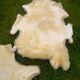 Two vintage sheepskins.