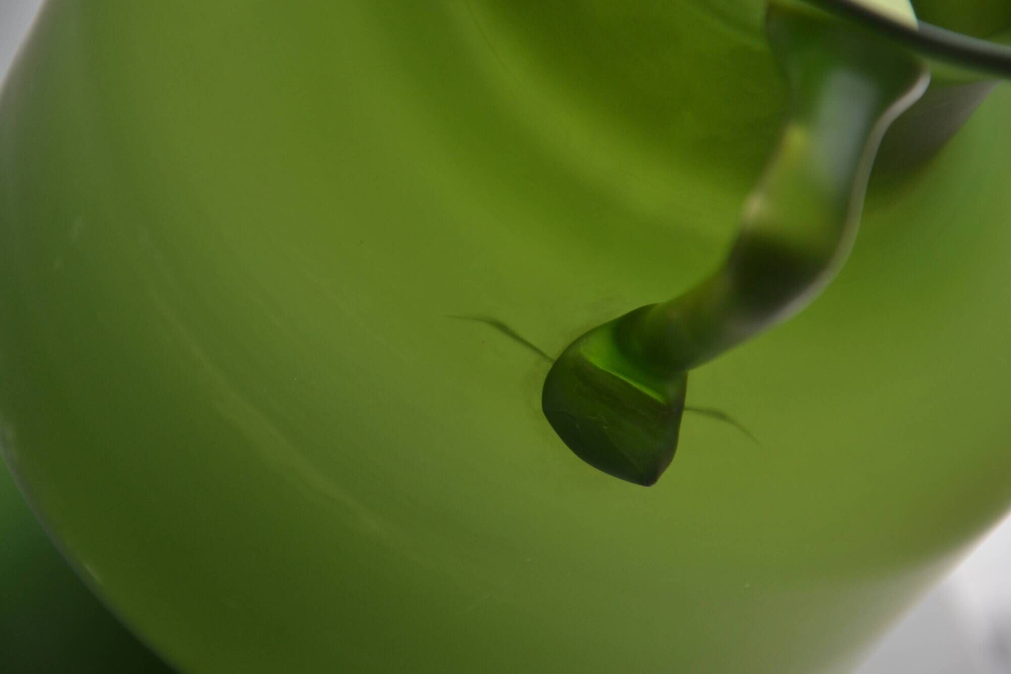 Vase made of glass paste