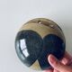 Lens-shaped wall vase