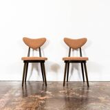 Model No. 124 Dining Chairs by Helena & Jerzy Kurmanowicz, 1960s, Poland, Set of 5