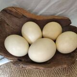 Teak root fruit basket