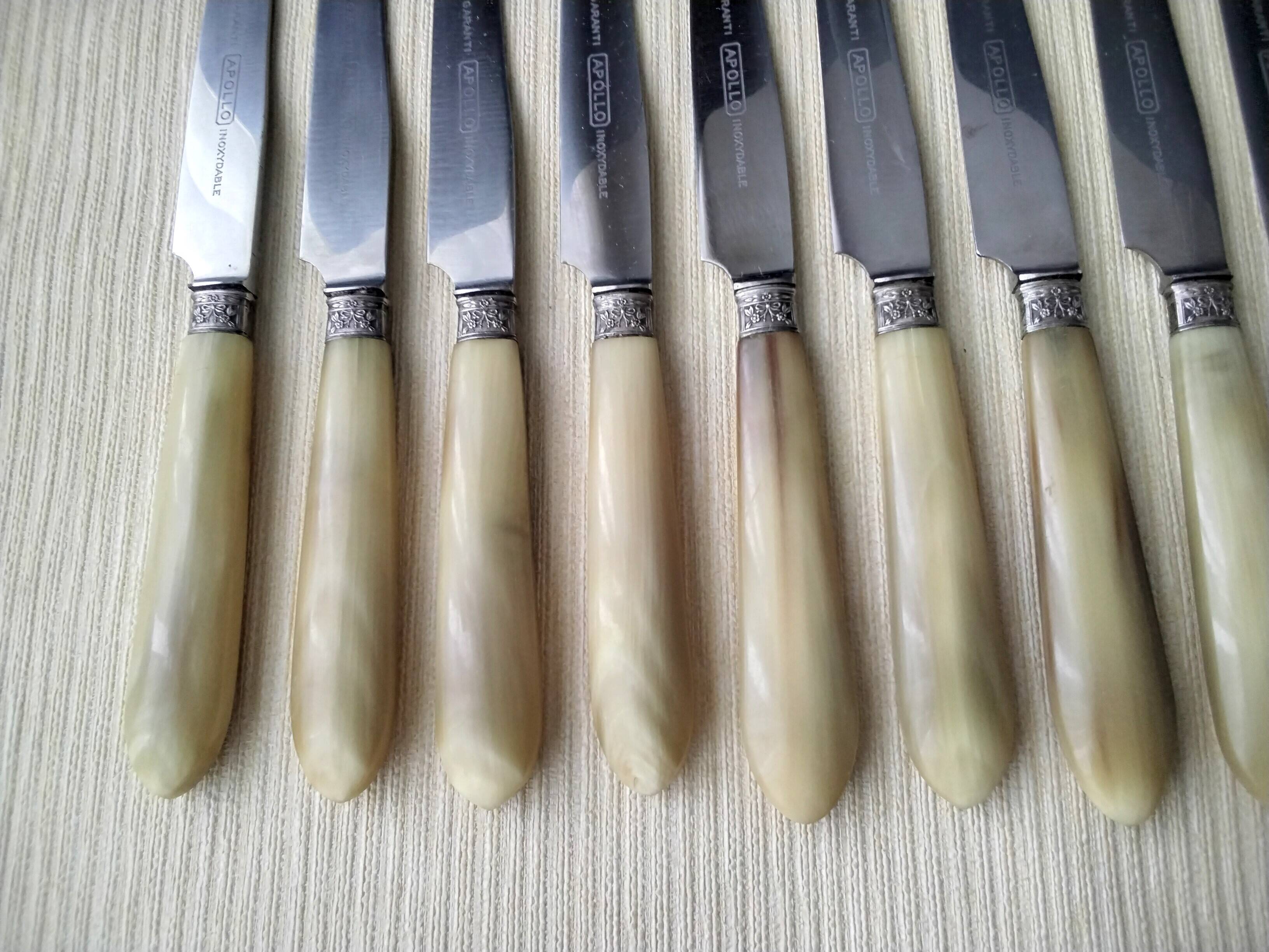 12 Apollo cheese knives Stainless steel and bovine horn