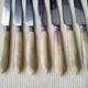 12 Apollo cheese knives Stainless steel and bovine horn