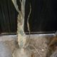 Wrought iron lamp