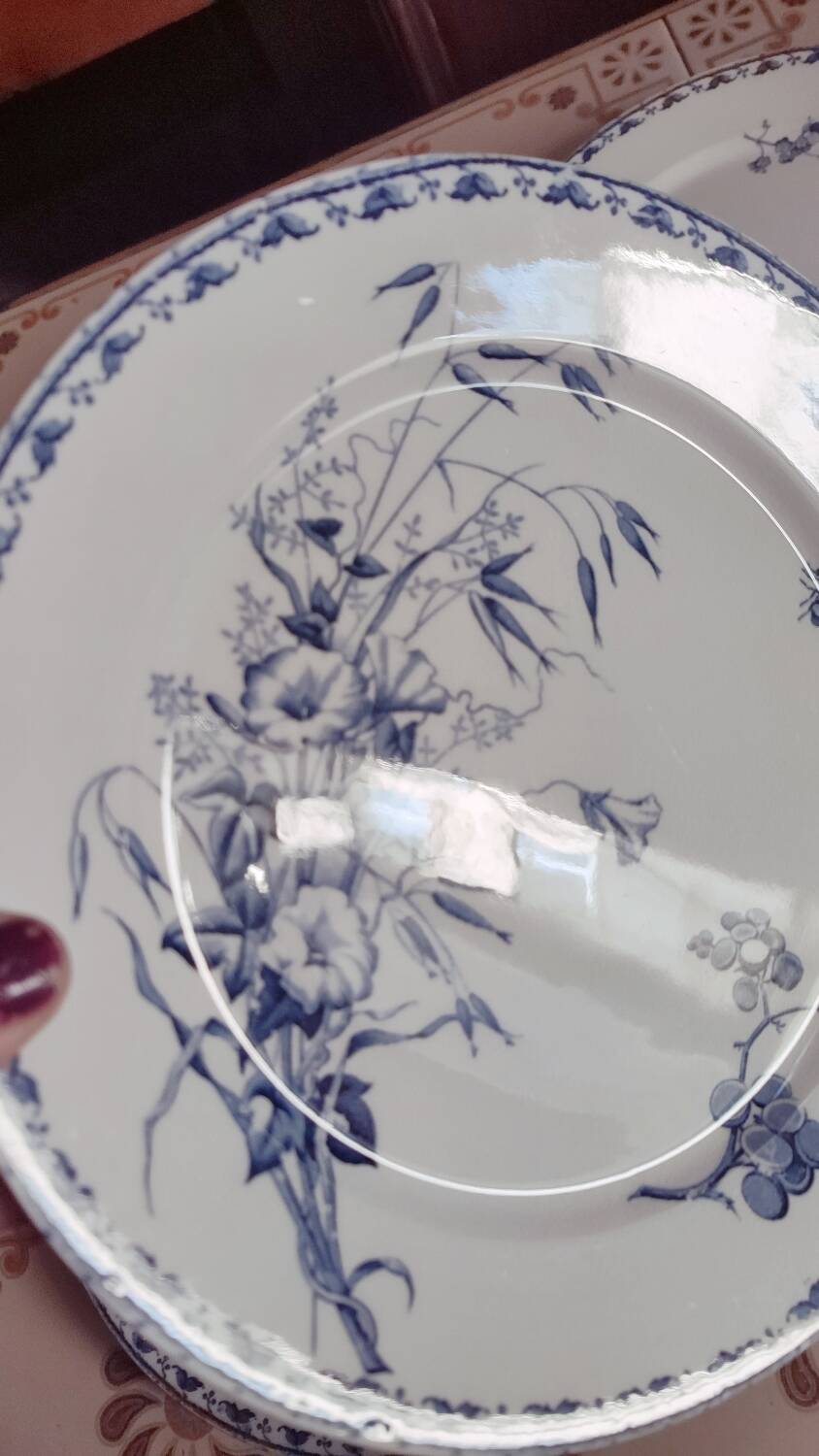 5 Carmen dinner plates by UetC Sarreguemines