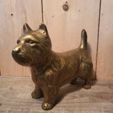 Chien scottish laiton