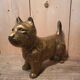 Chien scottish laiton