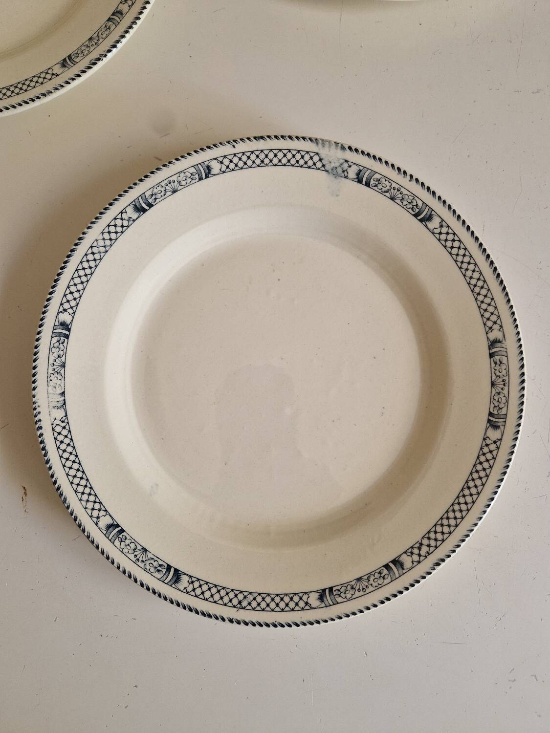 Lot de 12 assiettes plates terre de fer salins modèle Vauban