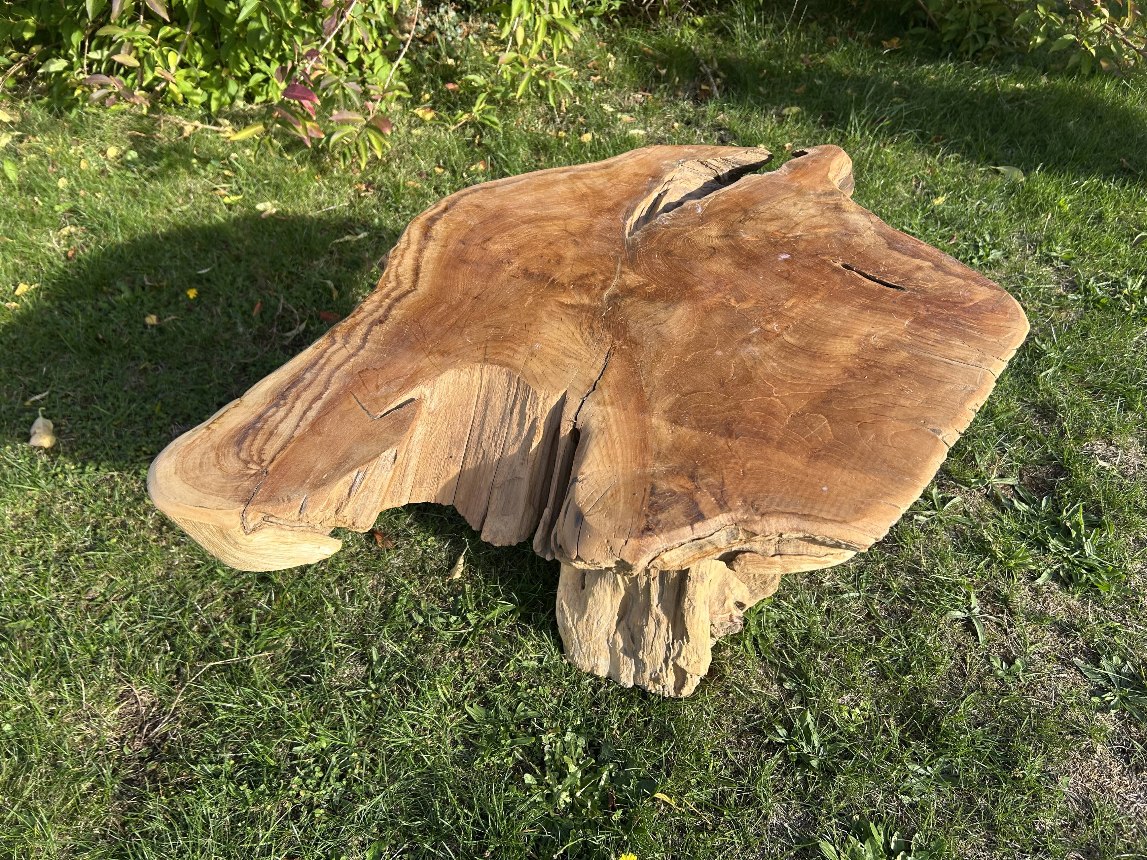 Root sculptural coffee table