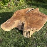 Root sculptural coffee table