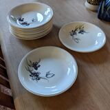 Series of plates