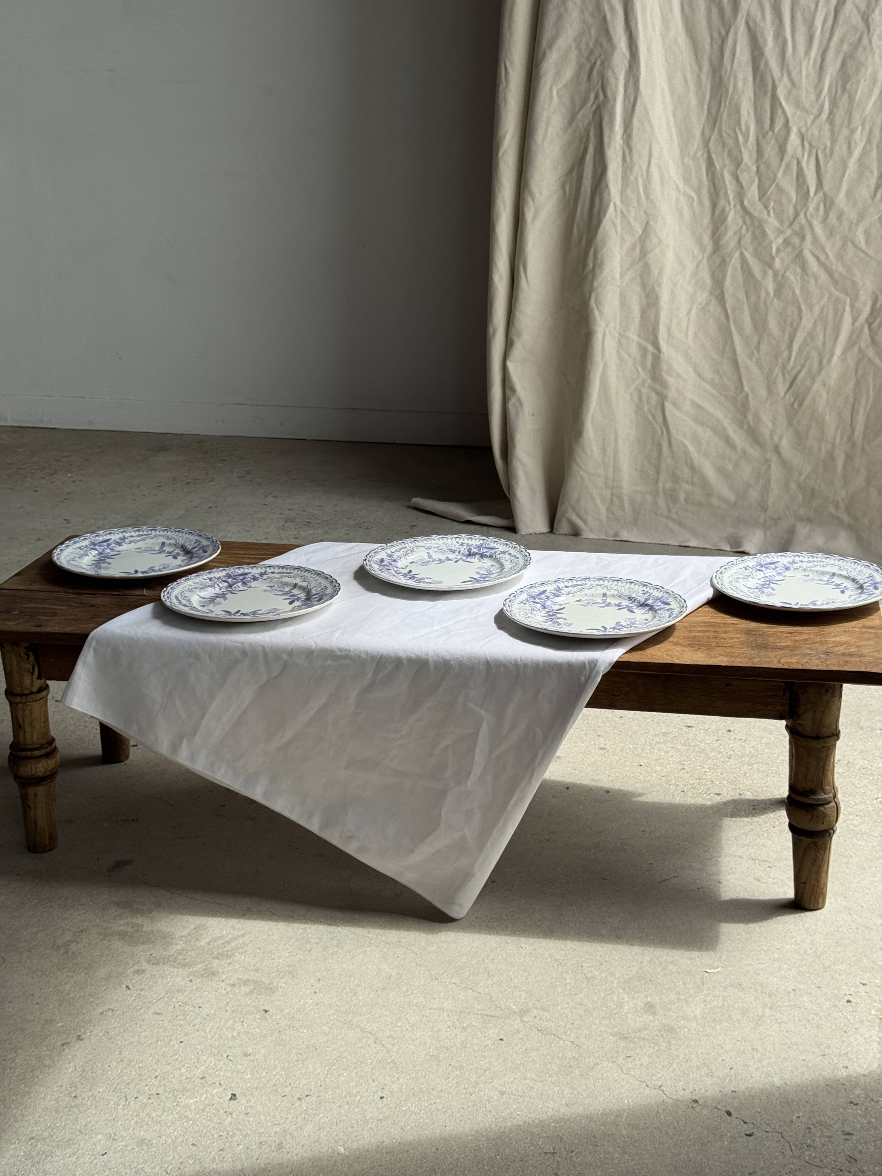 Set of 5 flat plates in earthenware with a lavender floral design H2 D22