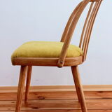 Set of chairs designed by A. Suman, Czechoslovakia, the 60s