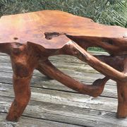 Brutalist teak root coffee table