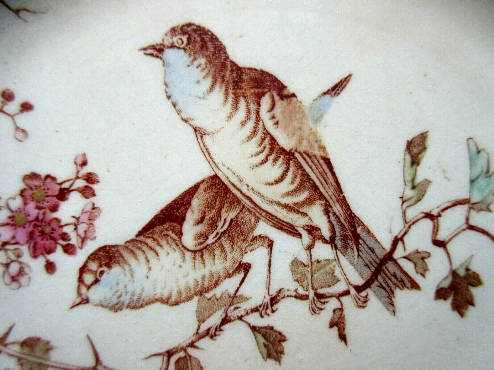 Plate earthenware of lunéville, les fauvettes