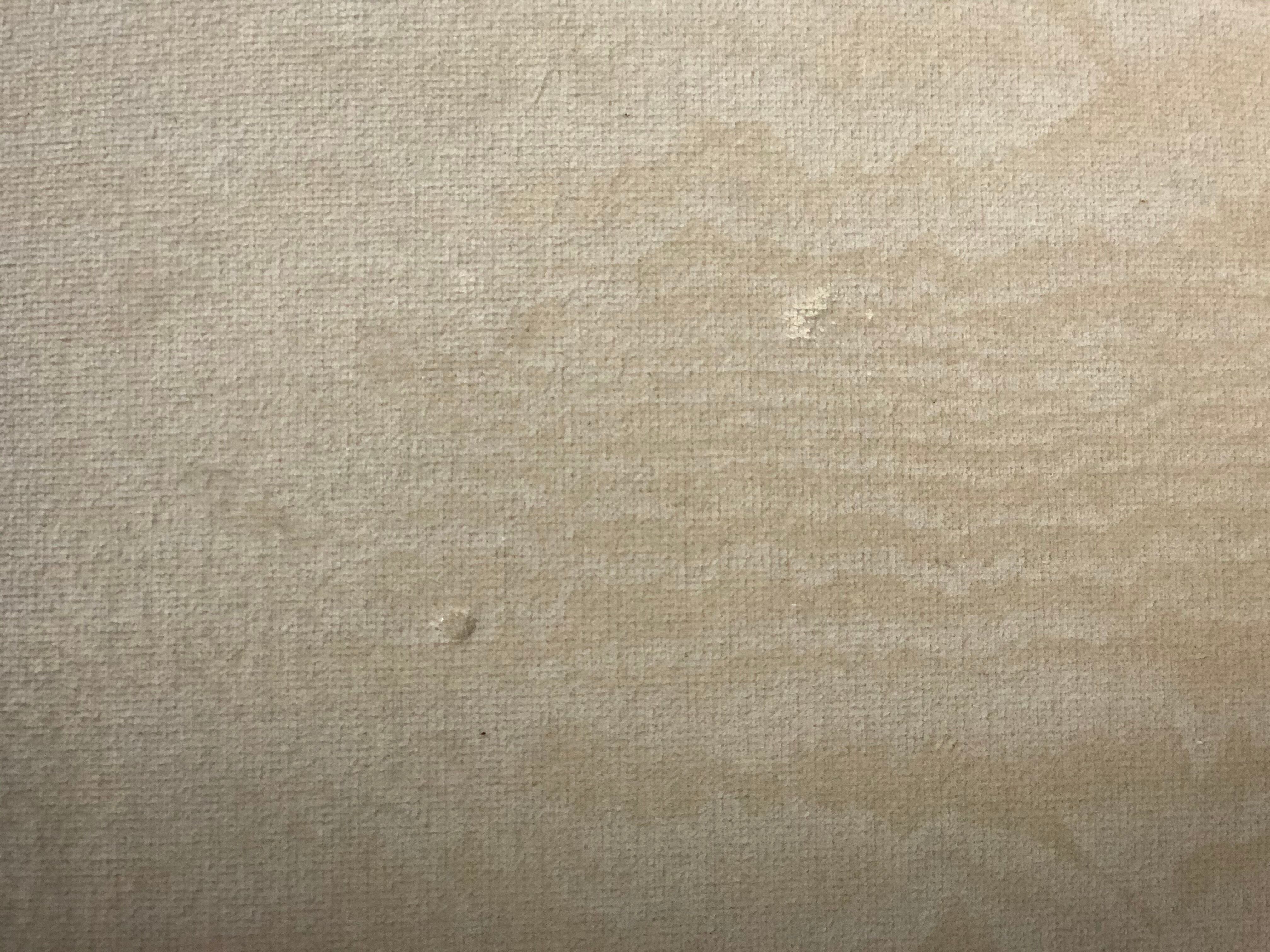 Chairs (pair) Sheep bones in walnut-tinted beech and marbled beige velvet