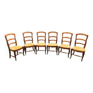 6 chaises en merisier