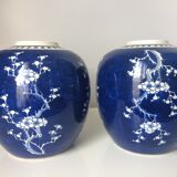 Paire de pots à gingembre chinois