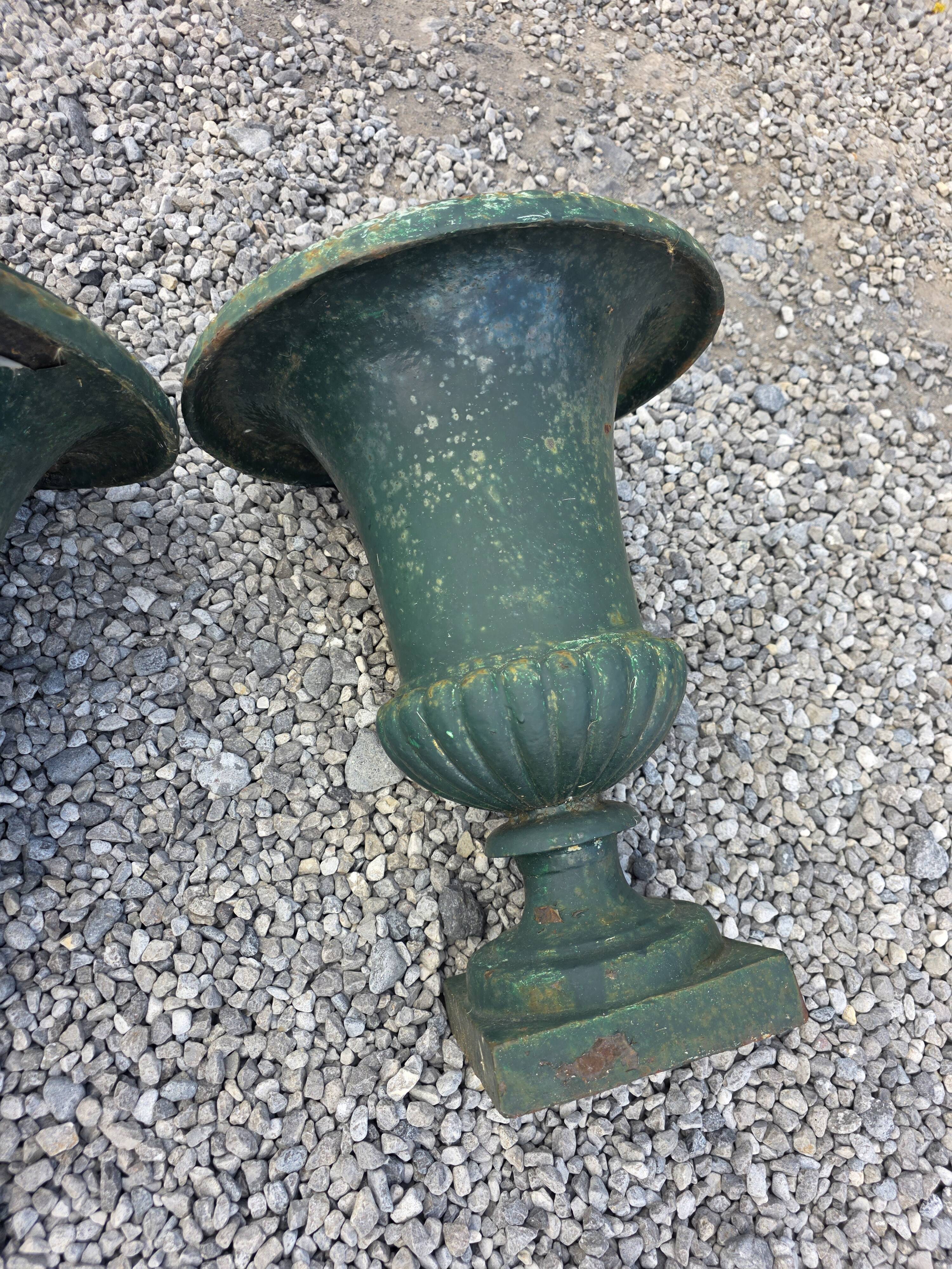 Pair of antique Medici vases in cast iron