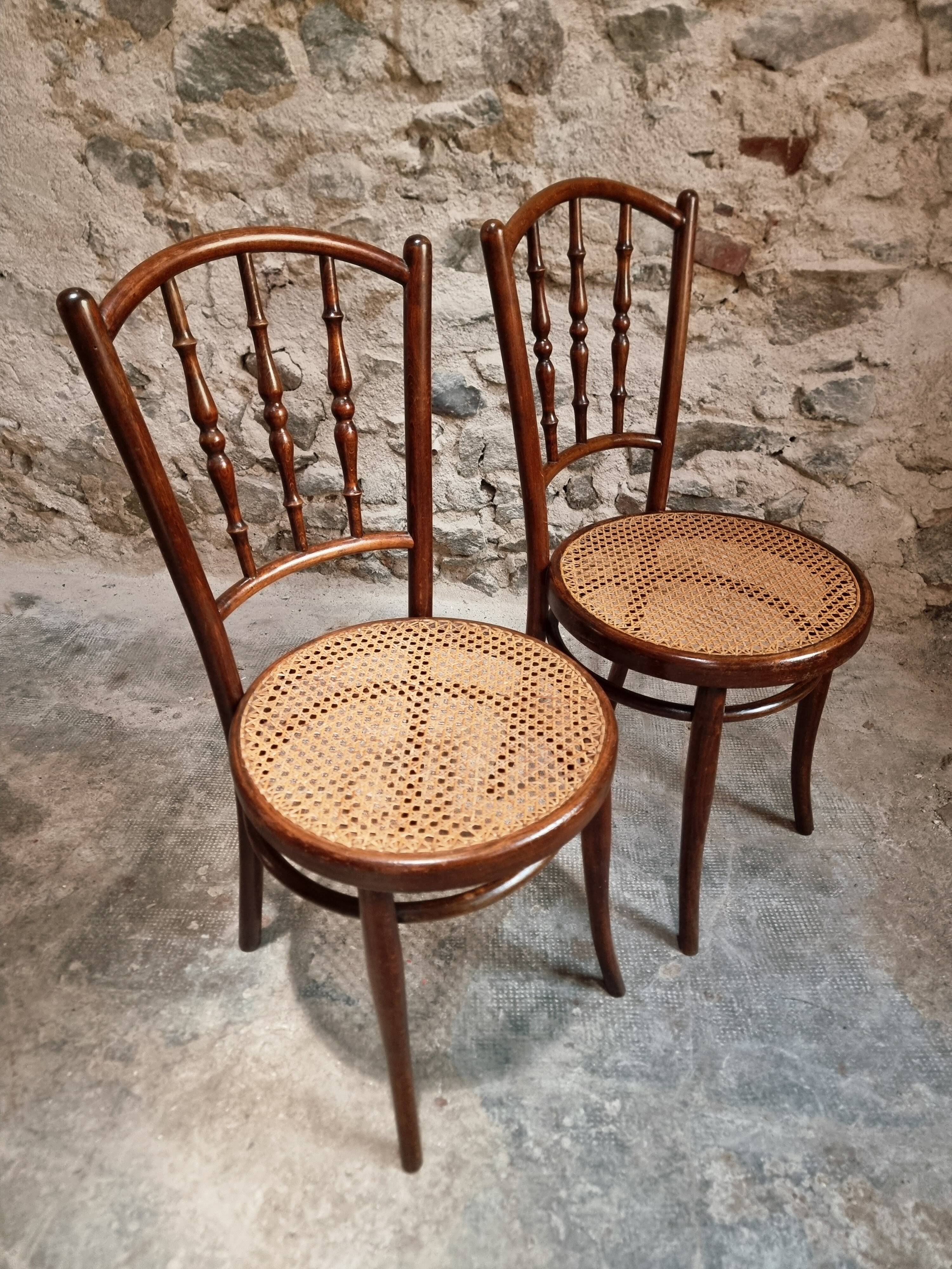 2 chaises bistrot viennoises Kohn antiques en bois courbé et cannage, Autriche vers 1900–1930