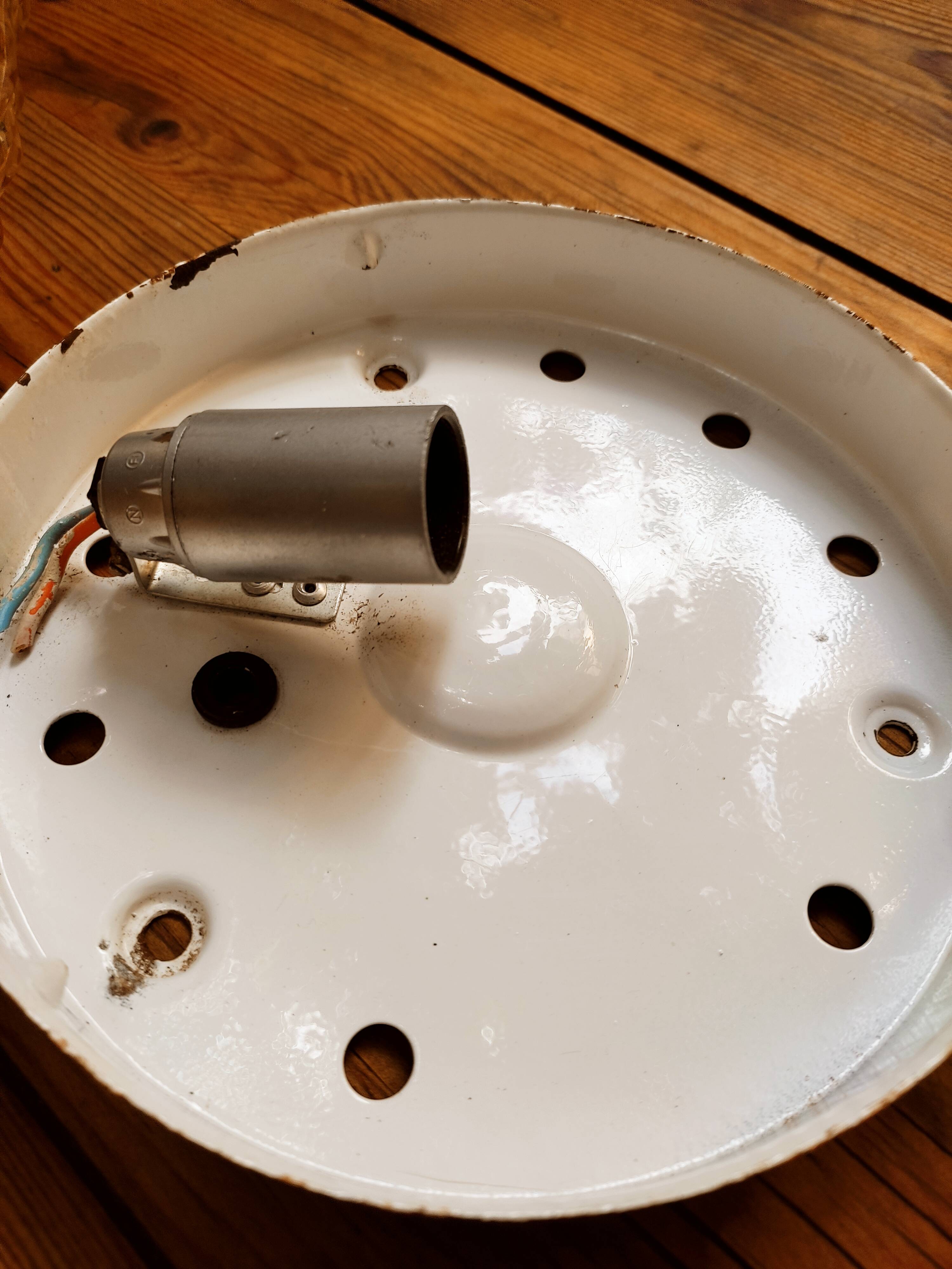 Sea urchin ceiling light