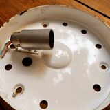 Sea urchin ceiling light