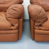 Pair of vintage Coquelicot lounge chairs by Tito Agnoli for Poltrona Frau in leather from the 70s