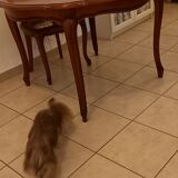 Round table with extension