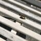 White metal Garden Bench and wooden slats 1970